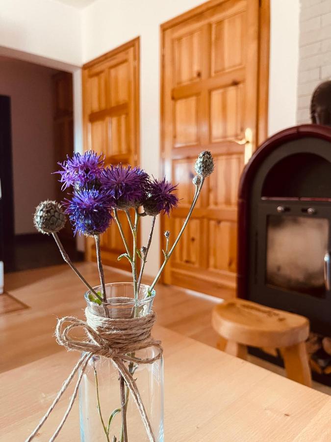 Apartamento Hill Durmitor Žabljak Exterior foto